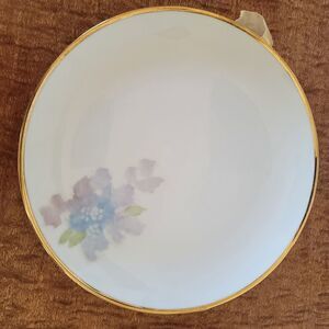 Dish maryland china company white gold rim plate decorative diy art wall
